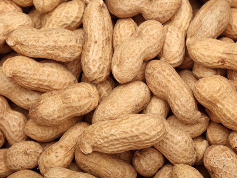 c6d3fc05-39e4-4ee2-9f6f-1ec3f9c6fcea